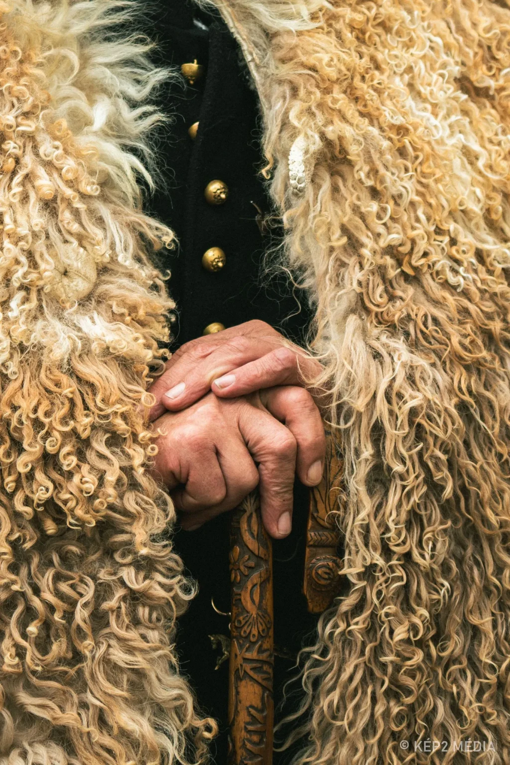 Kep2_mihalynapibehajtasface-82